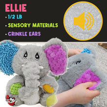 Sensory Plush Friends Set